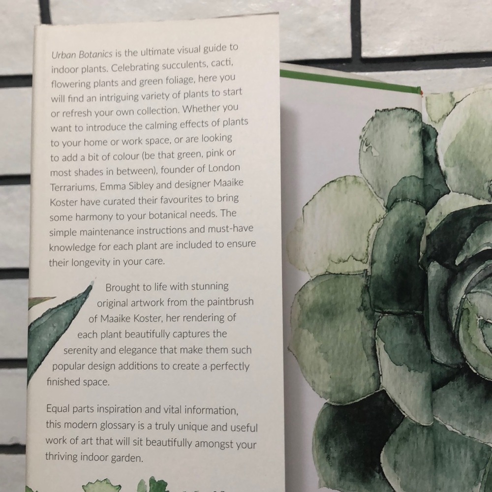 Urban Botanics: An Indoor Plant Guide for Modern - Picture 3 of 4